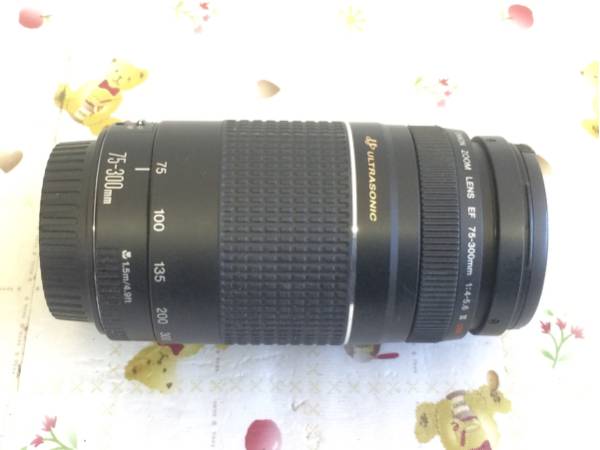 長野発！美品！CANON ULTRASONIC EF75-300mm1:4-5.6ⅢUSMレンズ