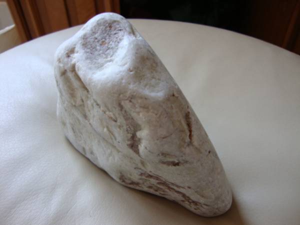 d202084608.1