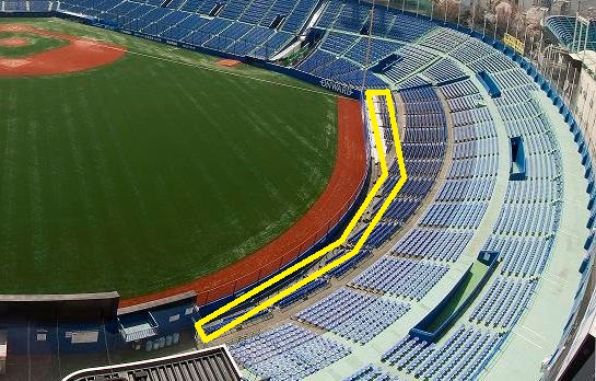 即決☆9/9 ヤクルト×巨人 レフト指定席A 最前列ペア☆CV発券②