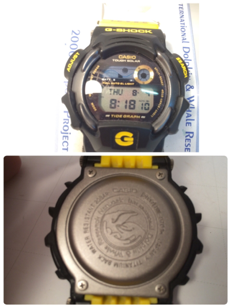 カシオ G-SHOCK イルクジ DW-9701K-9JR 箱取説付 動作品 美品 写真に