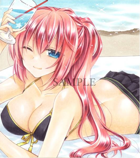 同人手描きイラスト VOCALOID/巡音ルカ 水着の入札履歴 - 入札者の順位