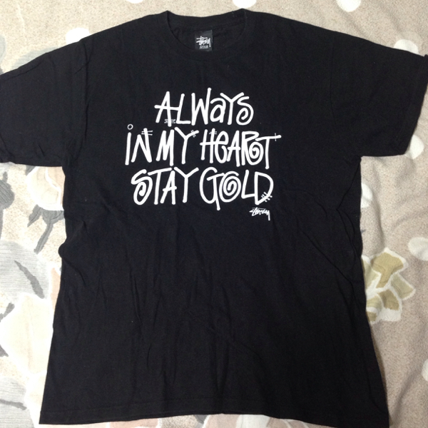 SUTSSY AIRJAM ゲス 限定 Tシャツ M ステューシー SUPREME