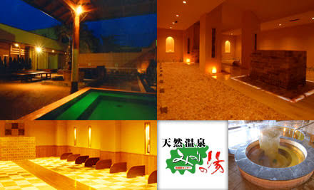 天然温泉 みのりの湯 特別ご優待券 30枚セット 即決 10/31 送無