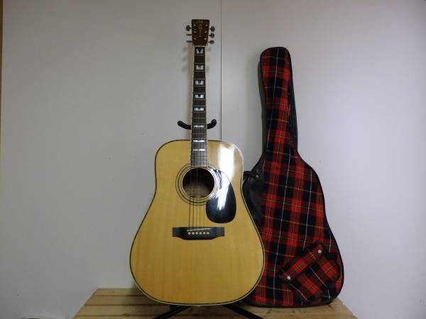 美品 Pro Martin W-250 アコースティックギター ケース付 xvpbvx