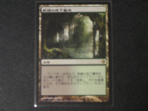 MTG 新緑の地下墓地 日本語版