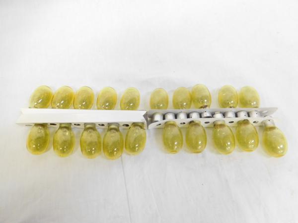 理想科学 プリントゴッコ 消耗品 ランプ インク セット 20△旭68