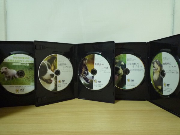 s/◇DVD-BOX 愛犬が見違えるほどいい子に◇森田流犬のしつけ法 【公式