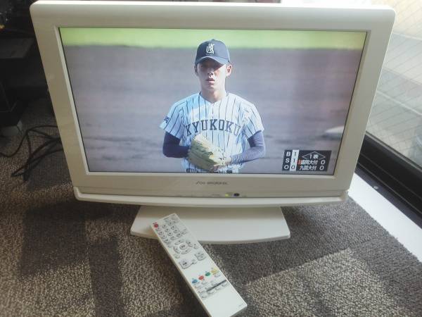 Panasonic 液晶テレビ 本体 リモコン付き 2010年製19型 アンテナ