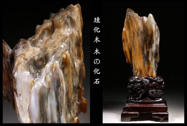 極美品 珪化木 木の化石 原石 総高35cm R24Y06A 一面磨き 【公式通販】