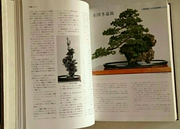 盆栽大事典1、2、3、「日本盆栽協会編」 盆栽全てが詰まっています