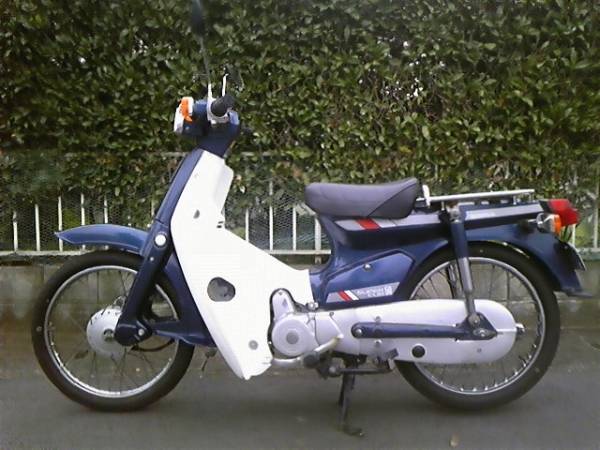 ホンダ スーパーカブ 50 軽整備済み 自賠責付き 原付 バイク 【公式通販】