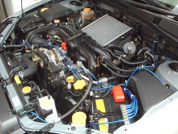 w174198226.1