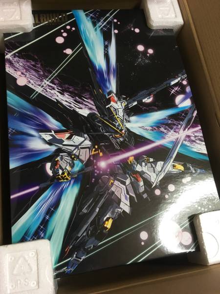 METAL BUILD ストライクフリーダム 光の翼オプションセット 未開封 l