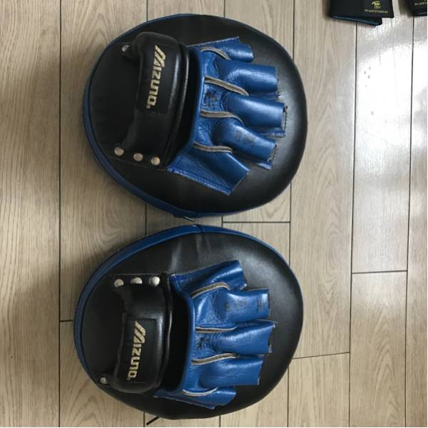 ミズノ コーチングミット 空手