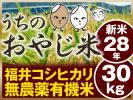 28年 新米福井無農薬コシヒカリ うちのおやじ米 玄米30kg 食味S