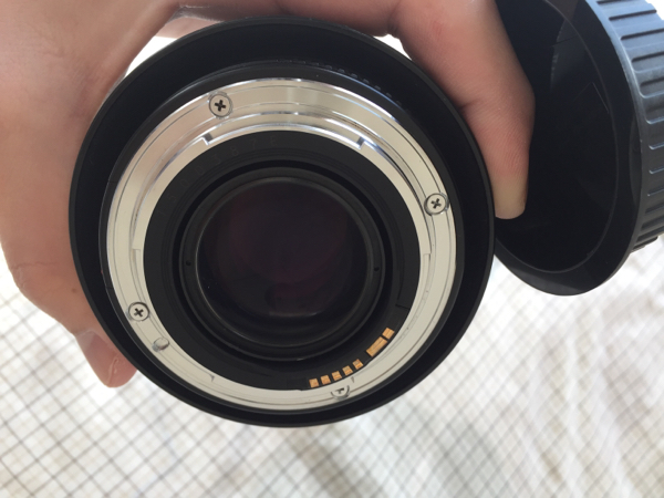 キャノン　Canon EF 50mm F1.4 フード付き 中古良品 キャノンCanon EF 50mm F1.4 フード・プロテクター付き