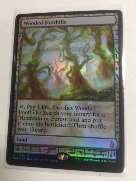 MTG EXP FOIL 樹木茂る山麓/Wooded Foothills 英語版