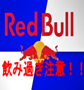 年越しに最適レッドブル185ml2ケース【送料無料】3