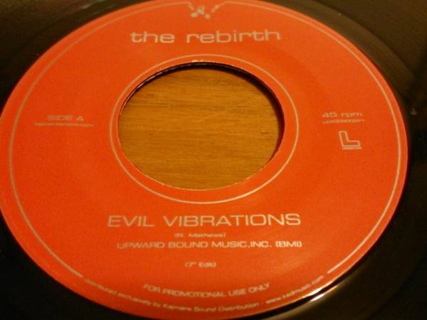 レア7inch The Rebirth「Evil Vibrations」カバー 7INCH レコード