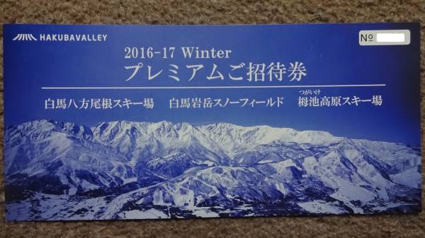 八方尾根　岩岳　栂池　のいずれか　大人一日リフト引換券