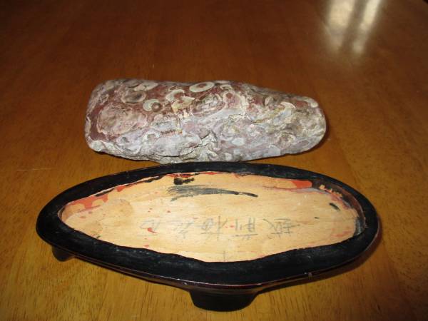 越前梅花石、越前紋石（菊花石、水石、盆栽、盆景）