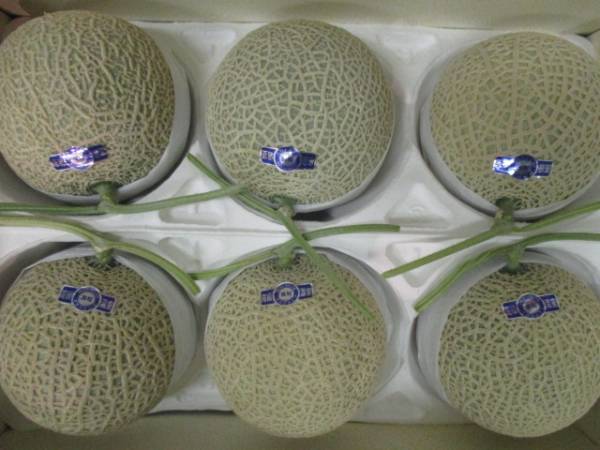 ☆ 送料無料 温室 高知産 マスクメロン 5玉入り 約10，0Kg