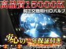 l378542911.1