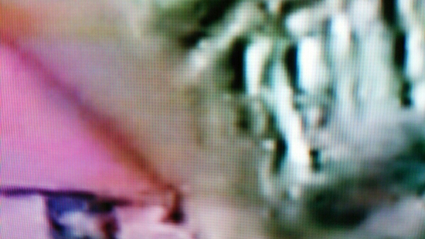 Js Jc放課後の日常高画質dvd4枚セット3 複数被写体 売買されたオークション情報 Yahooの商品情報をアーカイブ公開 オークファン Aucfan Com