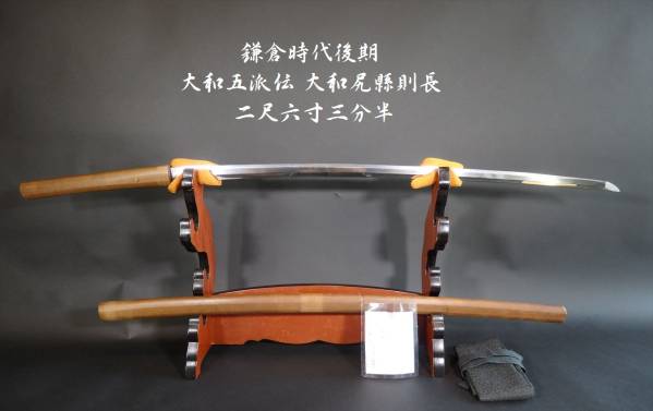 u172394313.2
