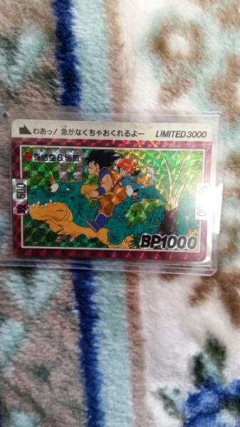 ドラゴンボール LIMITED 3000 第1弾 ∞ 悟空&悟飯 ドラゴンボール