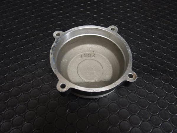 ZRX400 ドレスアップベースにZRX400_BEETポイントカバー_エンジン