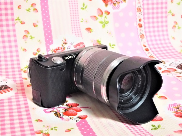 1円～☆格安☆ ソニー SONY NEX-5 レンズセット 訳ありの実用品