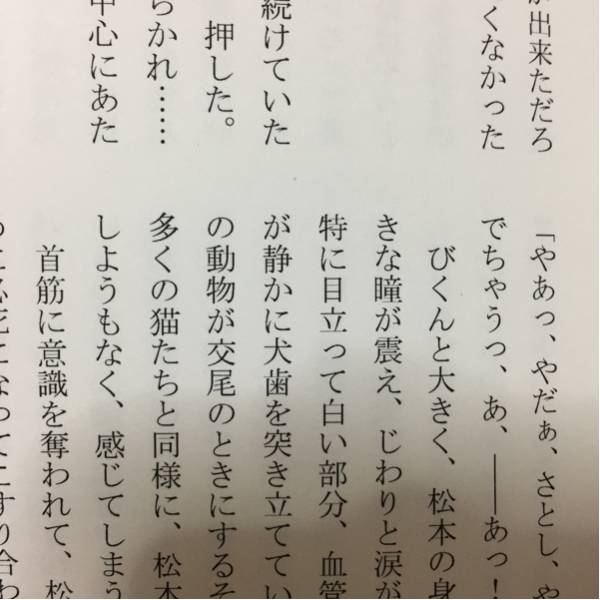 嵐 同人誌 大野智 松本潤 智潤 Oh Maniac 2冊セット ボーイズラブ 売買されたオークション情報 Yahooの商品情報をアーカイブ公開 オークファン Aucfan Com