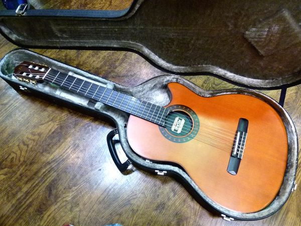 MORRIS モーリス groovin エレガット PA-17G Hケース付き (本体)｜売買 