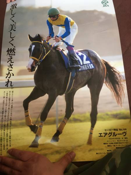 JRA ヒーロー列伝　エアグルーヴ　B3サイズポスター　競馬 JRAポスター ヒーロー列伝 B3 エアグルーヴ(競馬)｜売買された