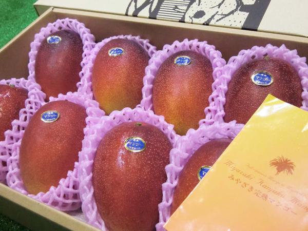 農家直送 宮崎県産 完熟マンゴー 2.7kg 農家直送 宮崎県産 完熟