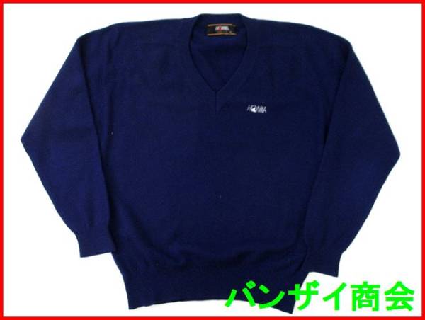 s514104589.1