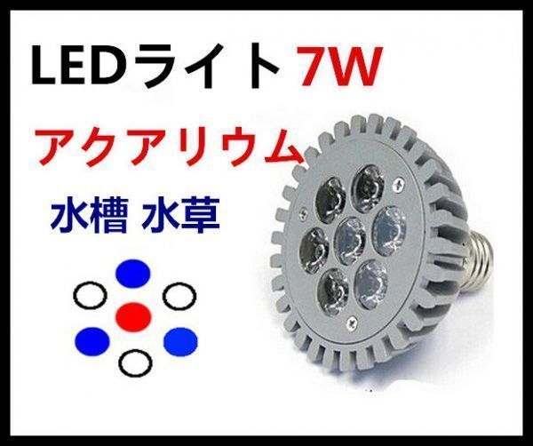 7w 水草 植物育成 水槽 Ledライト アクアリウム 青3白3赤1灯 照明 売買されたオークション情報 Yahooの商品情報をアーカイブ公開 オークファン Aucfan Com 7w 水草 植物育成 水槽 Ledライト アクアリウム 青3白3赤1灯 照明 売買されたオークション情報 Yahooの商品情報をアーカイブ公開 オークファン Aucfan Com
