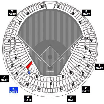 ベイスターズ側☆9月2日☆1塁側☆超良席☆横浜対巨人戦☆雨保証☆内野指定S☆２枚☆9列目
