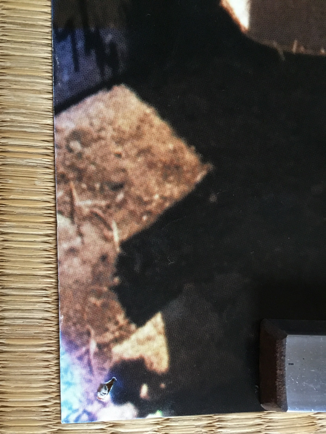 超レア 中森明菜 SAND BEIGE 砂漠へ 告知ポスター(な行)｜売買された