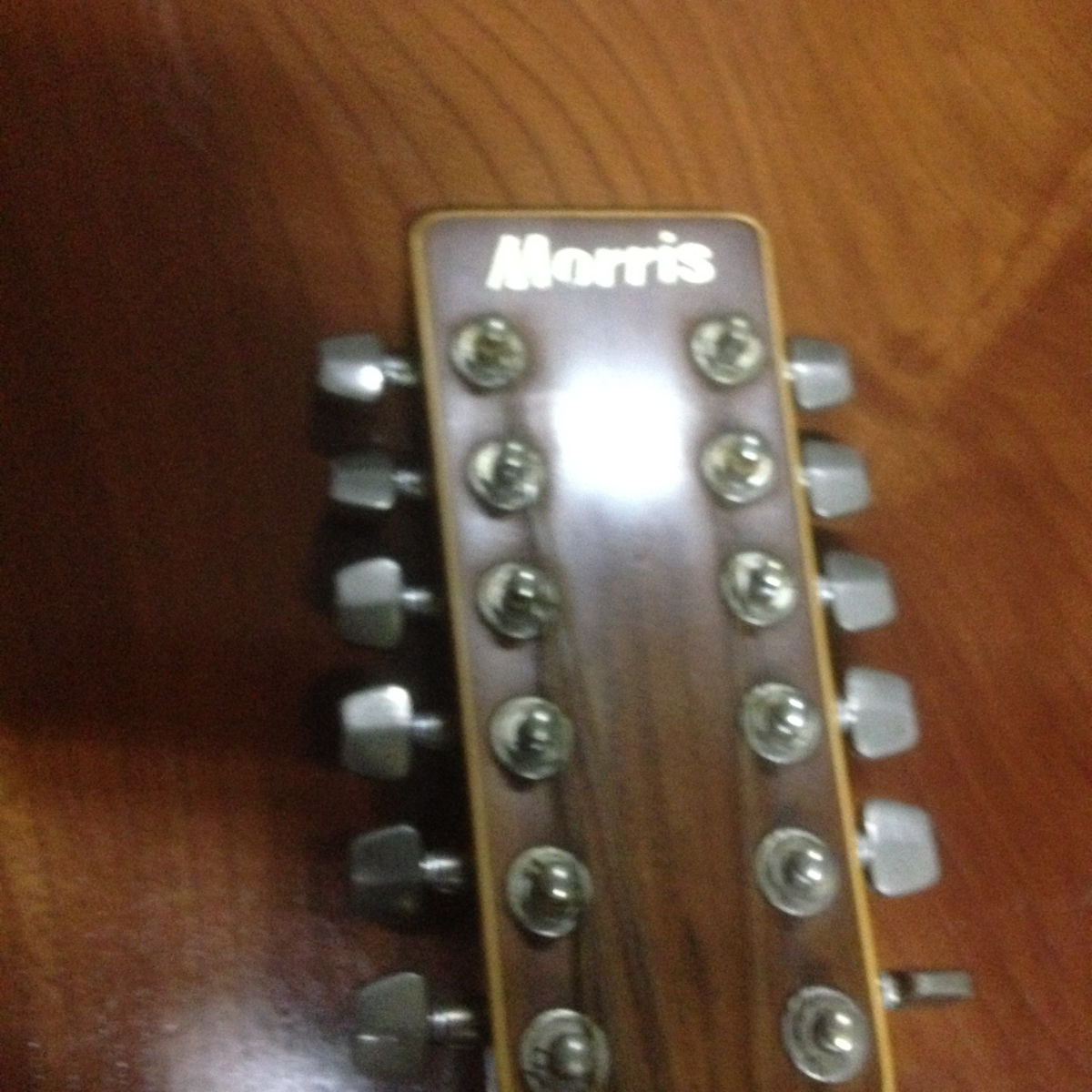 MB-301-12 Morris - 12弦 12弦アコースティックギター メルカリ