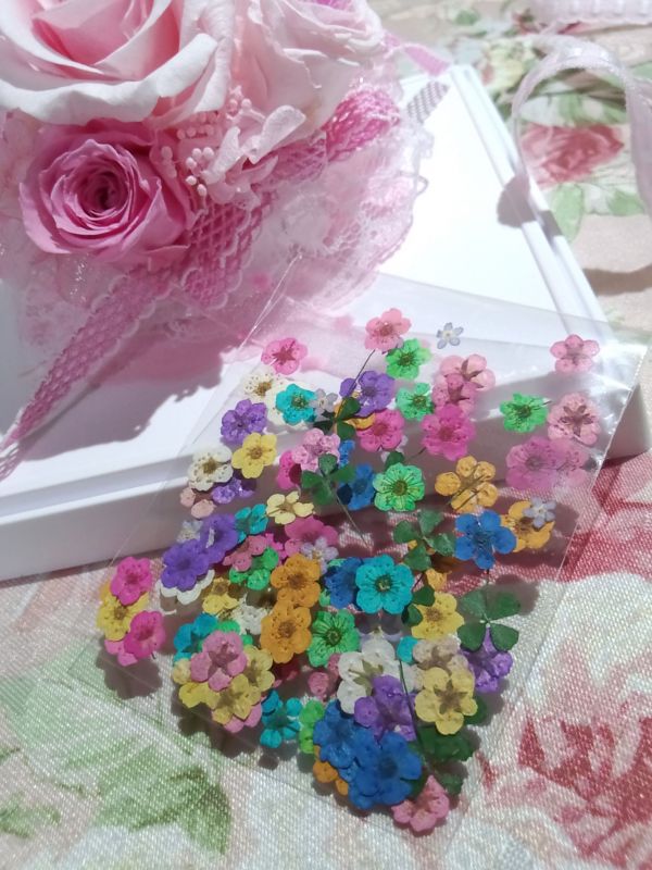 本日の目玉 大容量 クローバー入 押し花 12色 60枚 ドライフラワー ジェル ネイル レジン アクセサリー 素材 封印 S Art 013 60eco A 押し花 売買されたオークション情報 Yahooの商品情報をアーカイブ公開 オークファン Aucfan Com