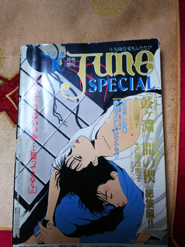 間の楔 小説 間の楔 吉原 声優座談会 小説JUNE1989年8月号 理恵子 1-4