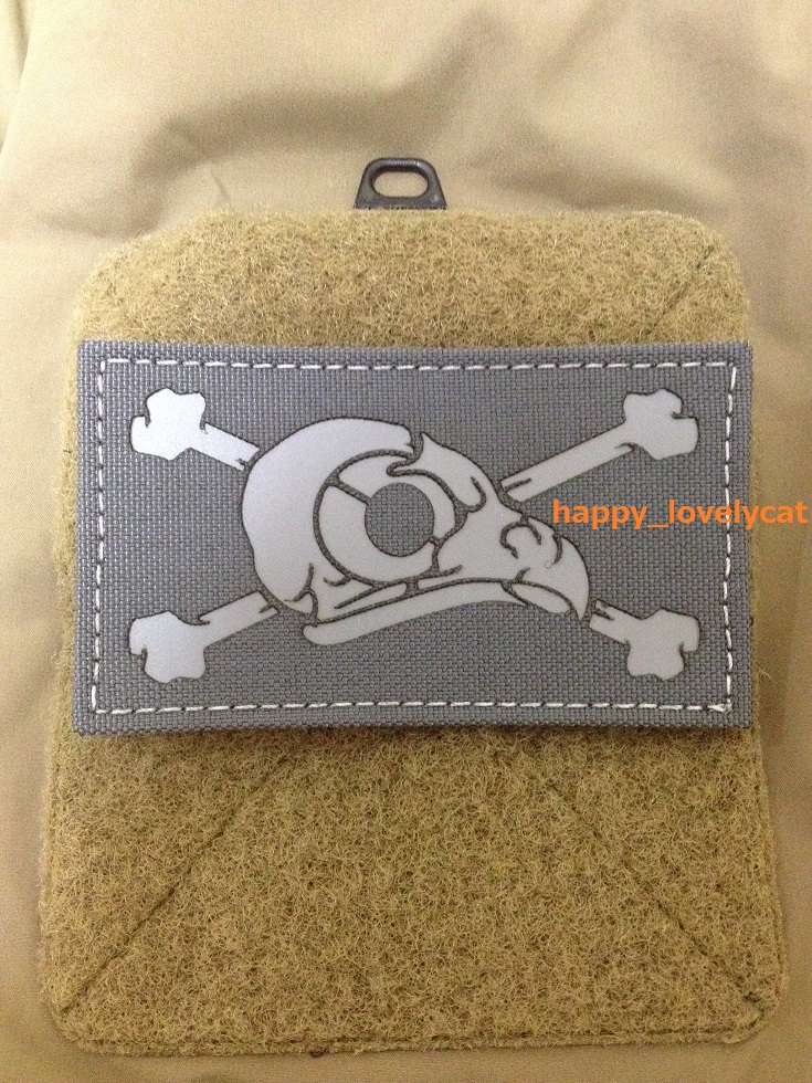 DEADBIRD SOCIETY DBS ワッペン 検 アークテリクスリーフ