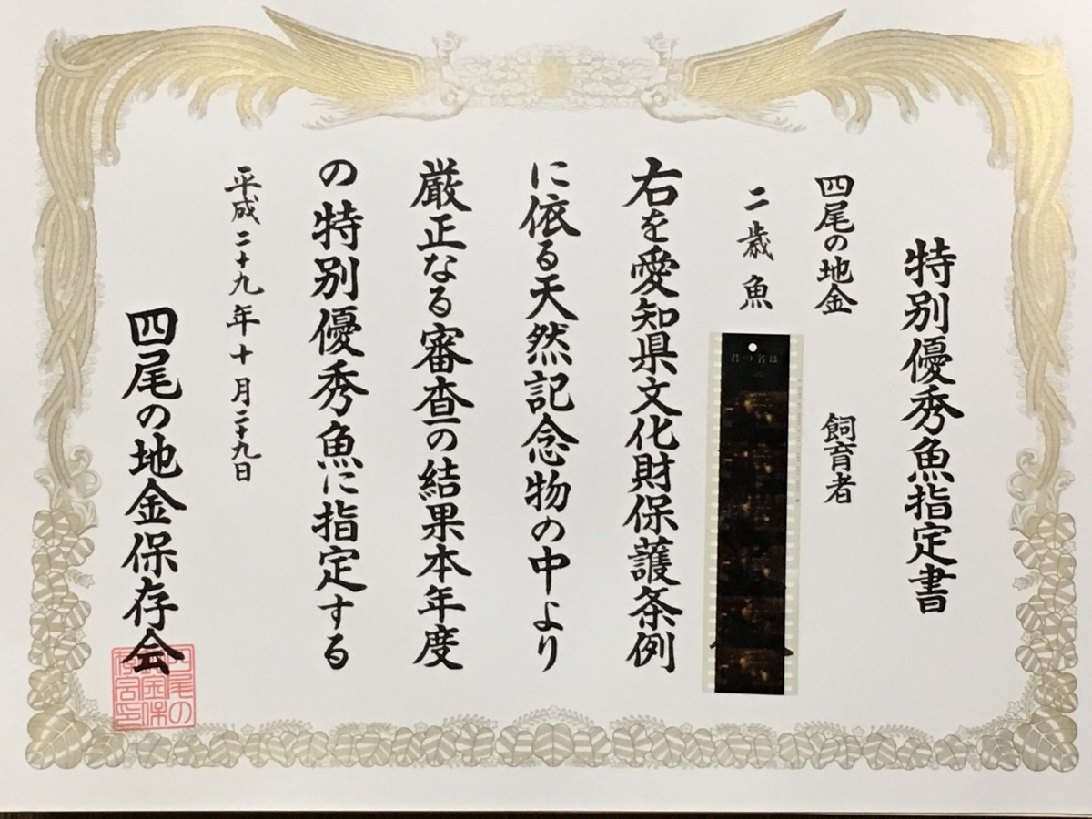 c608833419.1