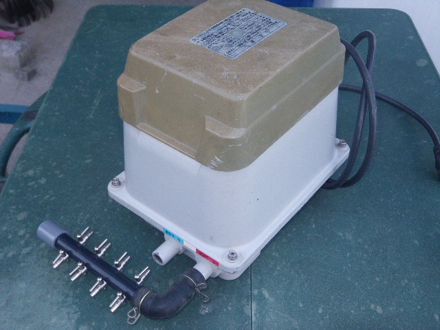 m186348633.3