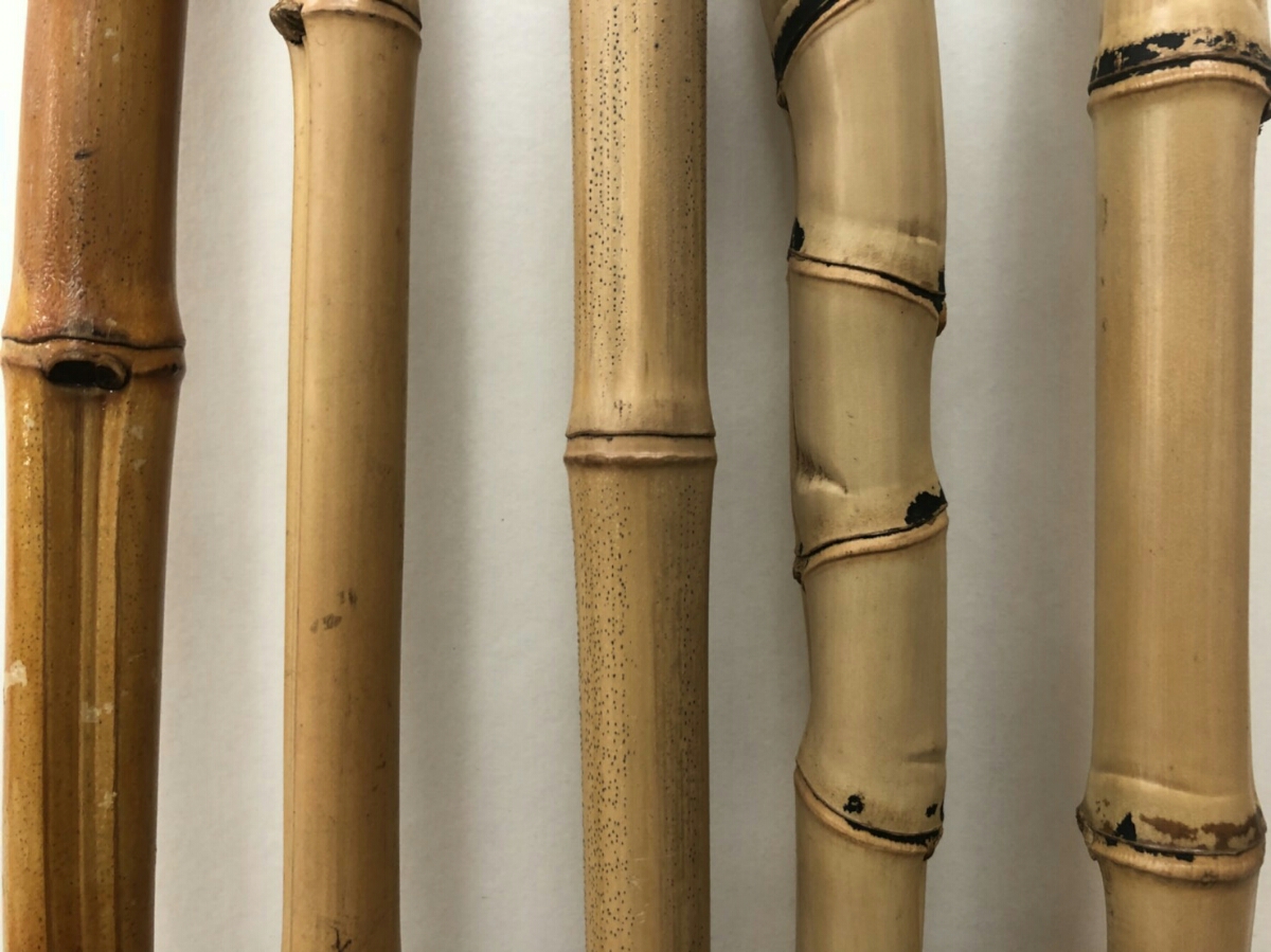 布袋竹? 杖 ステッキ！(木工、竹工芸)｜売買されたオークション情報