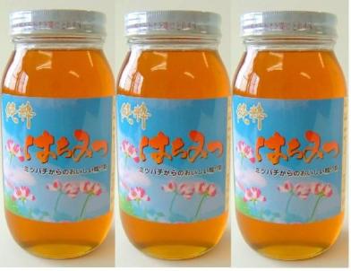 純粋はちみつ 3kg(3000g) 100%ハチミツ ビン入り　百花蜜