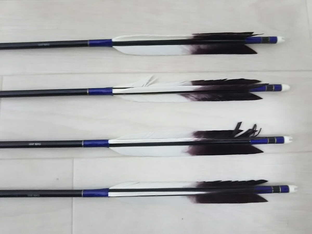 EASTON イーストン XX75 1913 弓道 矢 95cm 92cm-オンライン限定商品