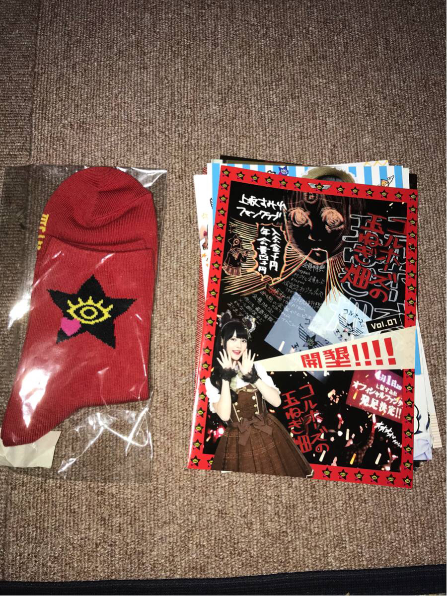 上坂すみれ 会報 コルホーズの玉ねぎ畑　おまけ付